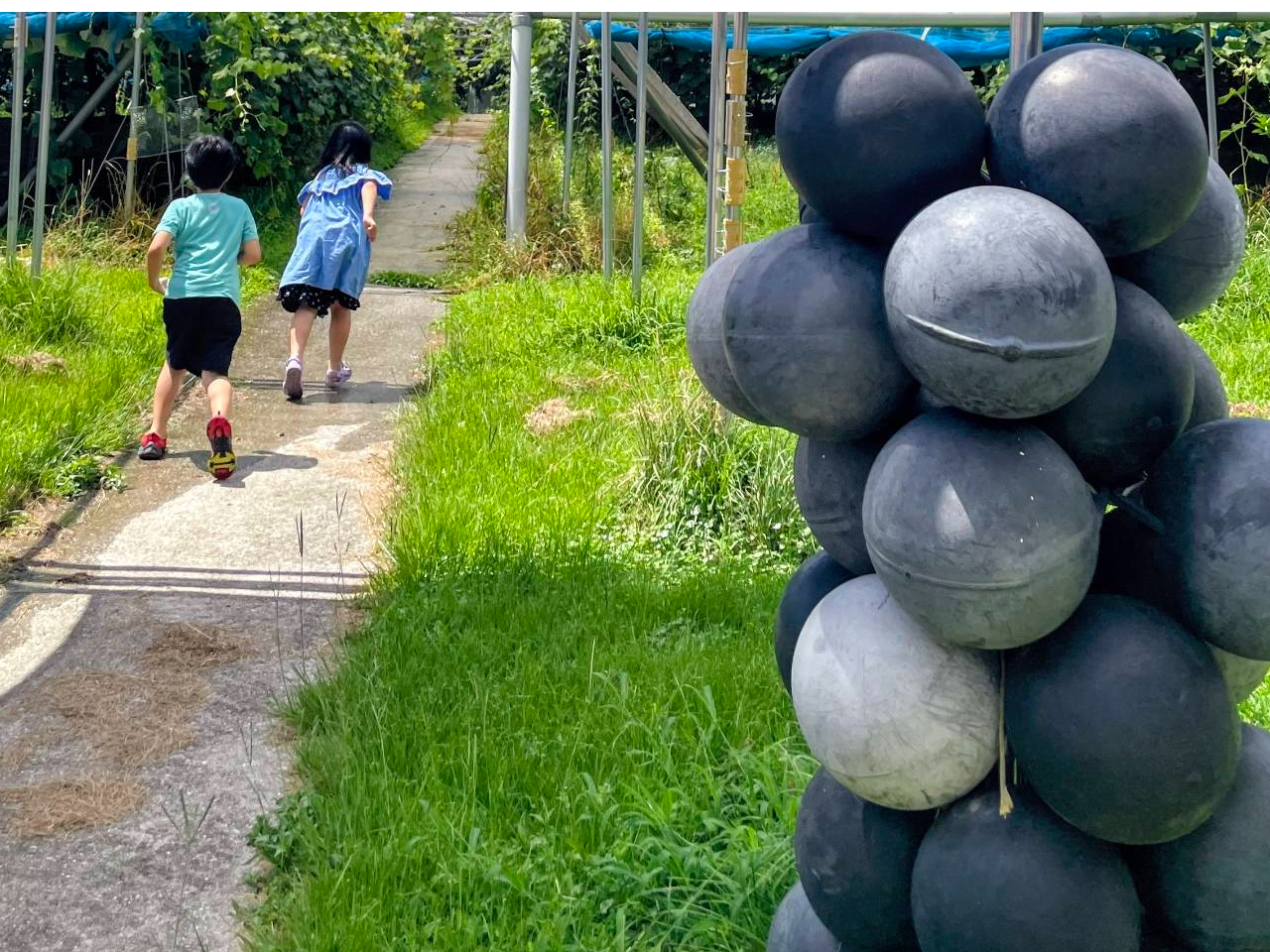 _͗΂Ɉ͂܂AqǂlSɂvyԂ߂܂