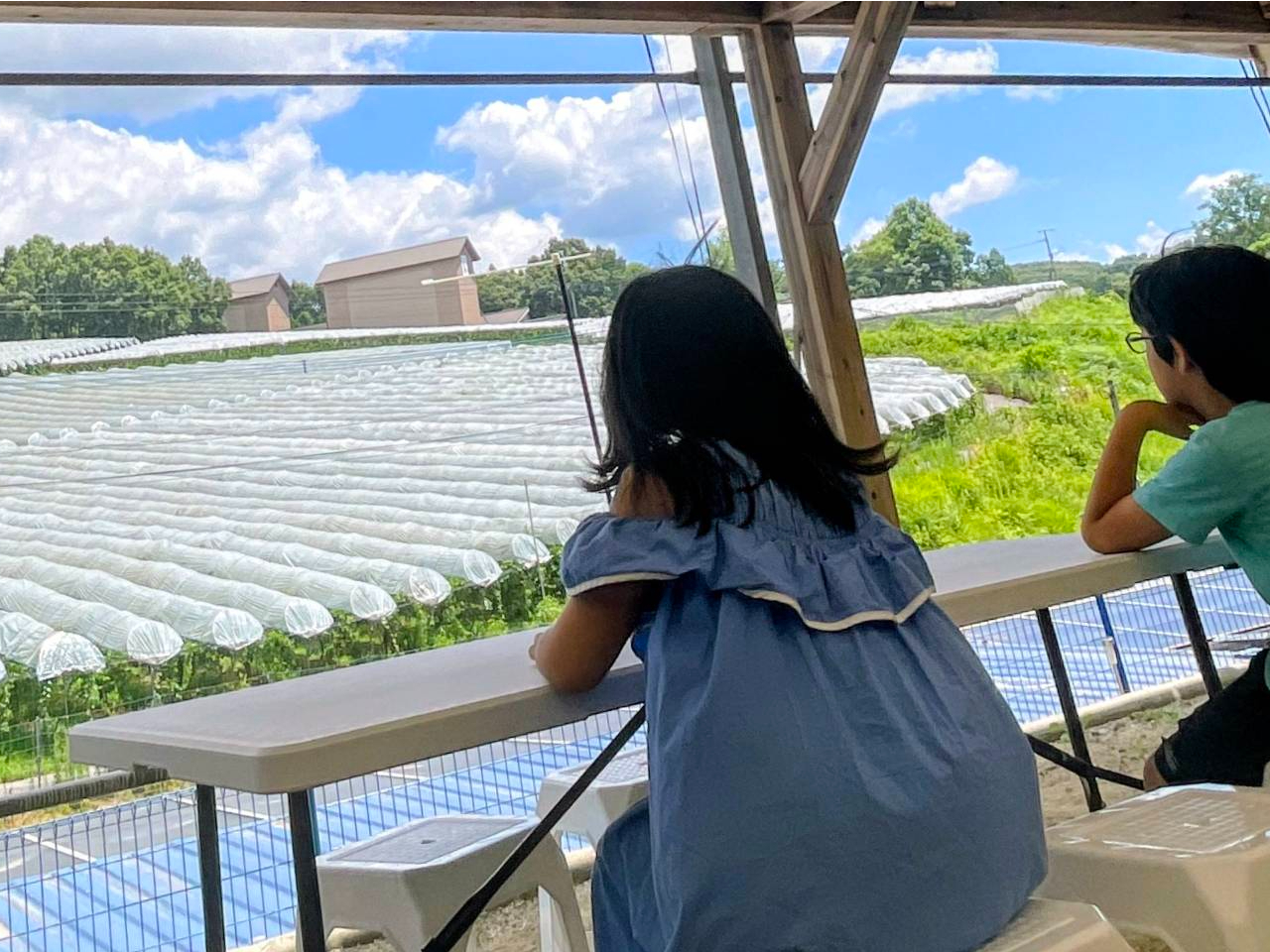 Ԃǂ̍ō̃P[VȂAŎnԂǂJtFj[HׂXy[X܂(^-^)/