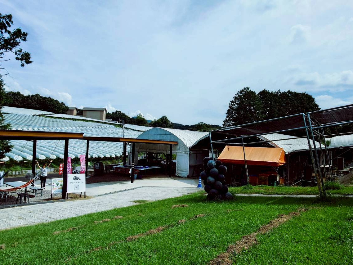 啪FsS@̓uhE̎YnłA360xԂǂɈ͂܂ꂽȂoVłB