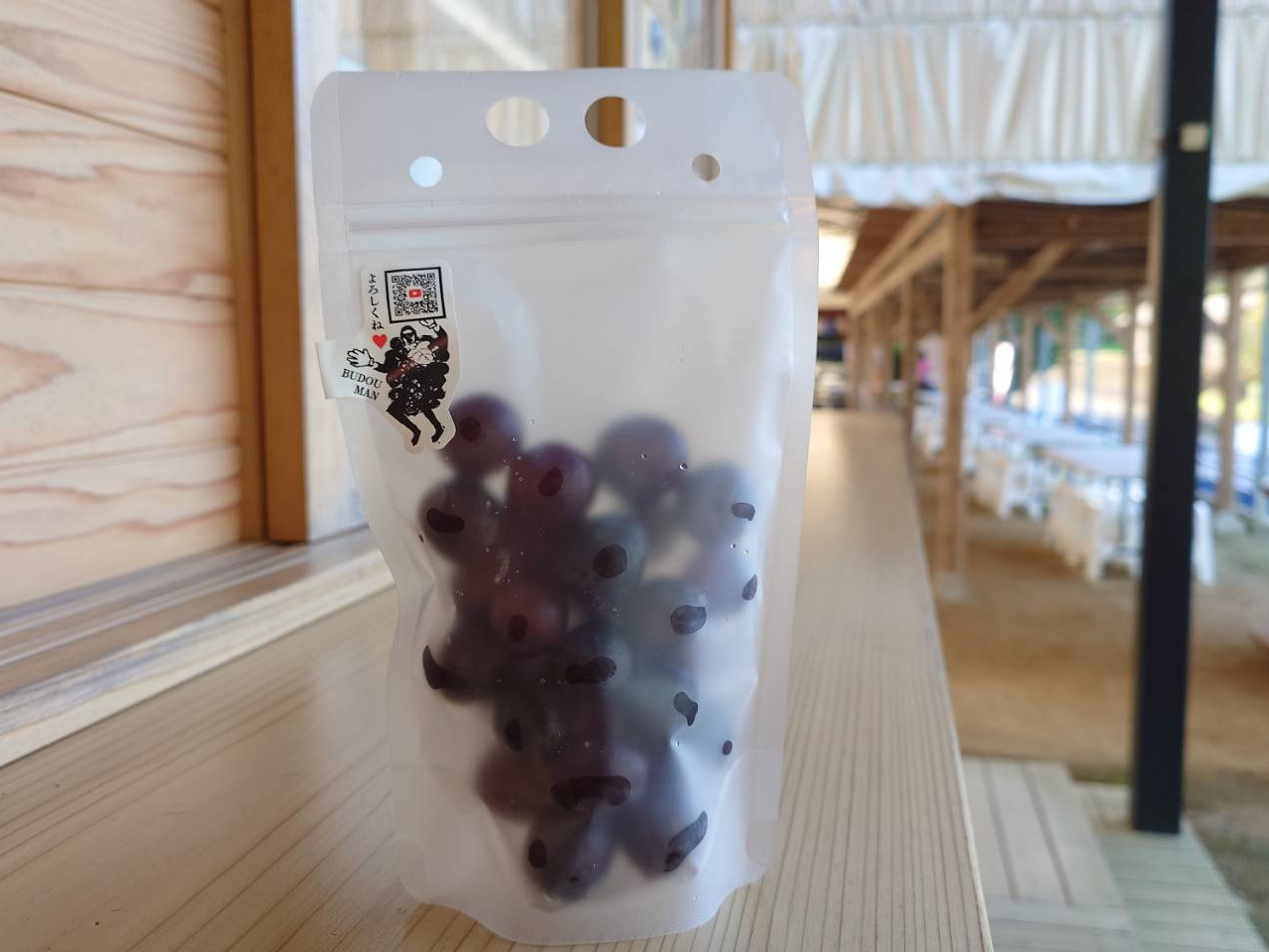 gŎnVNԂǂŁA݃W[X̌ł܂I