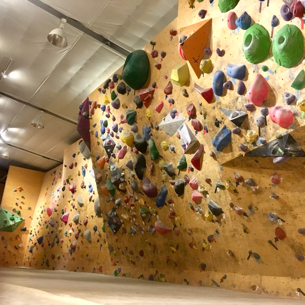 rMi[㋉҂܂ŁA܂܂ȃxɍ[gI