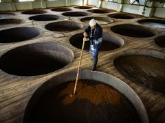 仕込み蔵。38本の木桶は圧巻