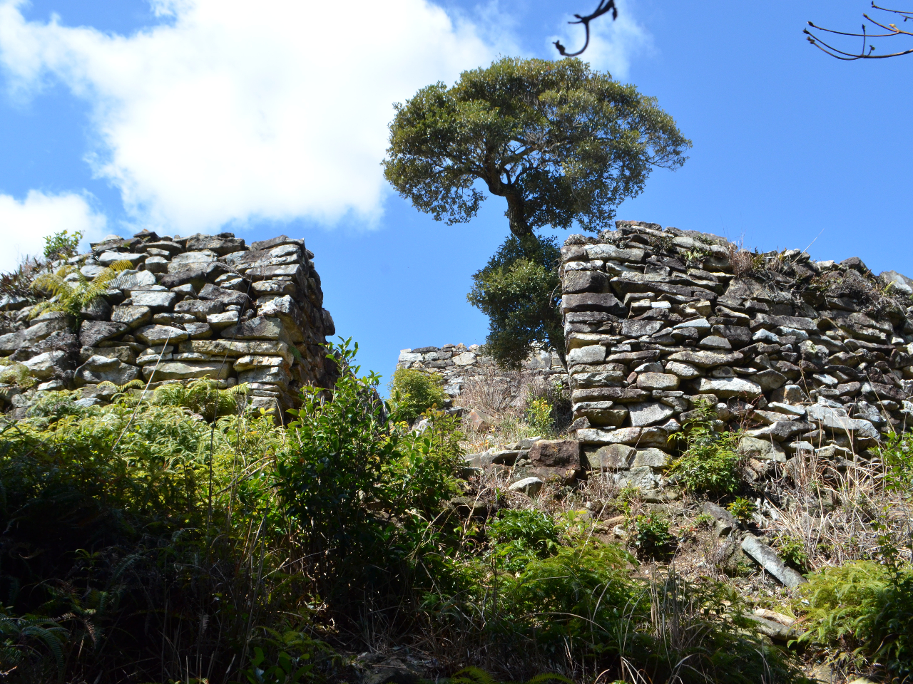 清水山城一の丸の入口です。朝鮮出兵から撤退後、すぐ廃城となったため、当時の遺構が改変されずに残っています。