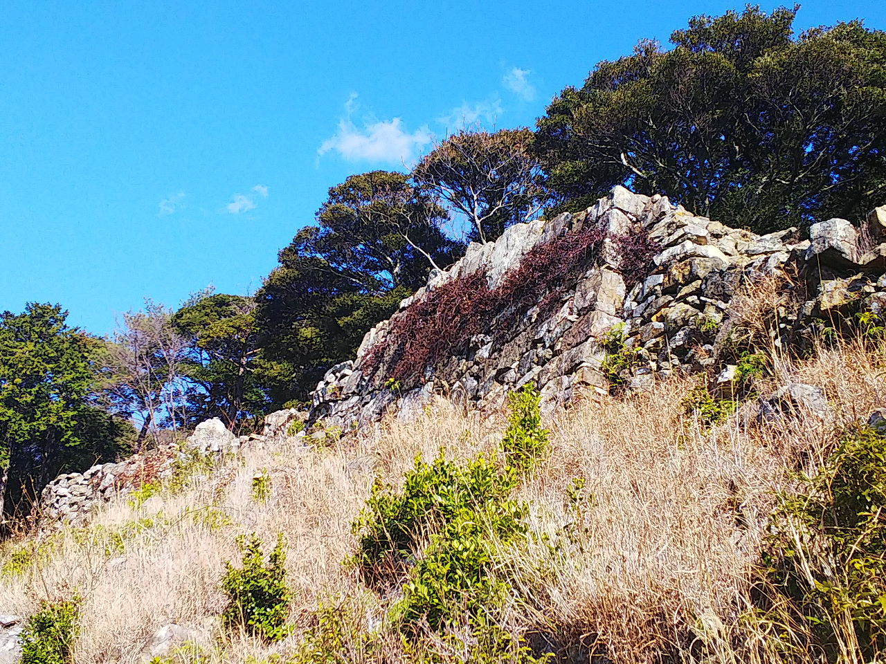 竪石垣を見上げると迫力を感じます。
