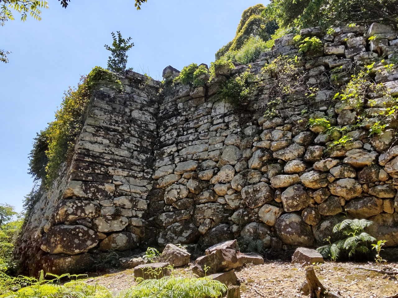 cՂ̈m˂łBɏCzꂽƂՂ܂B