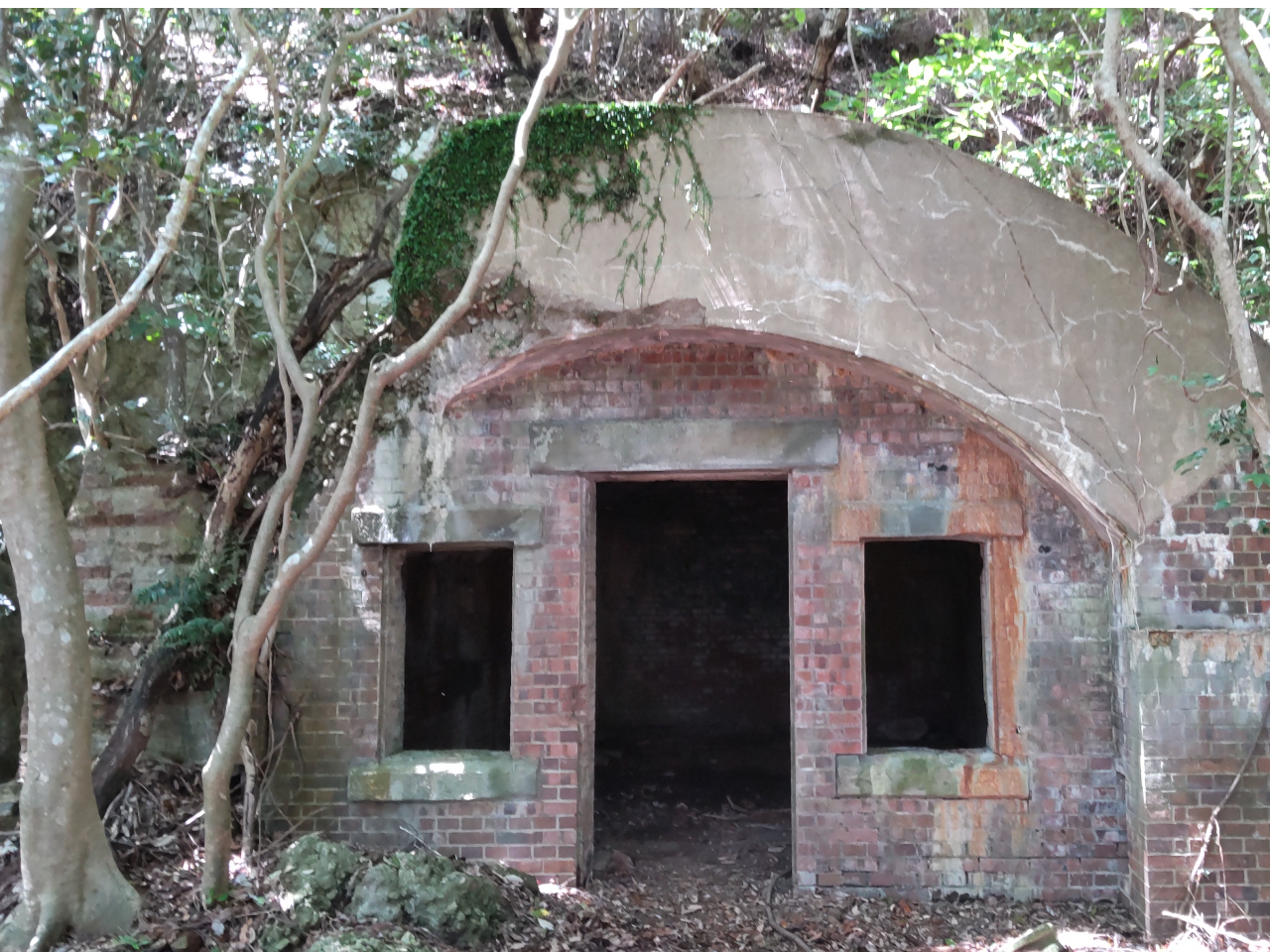 RC̐i؂ԁjłBeɂł͂ȂƍlĂ悤łB