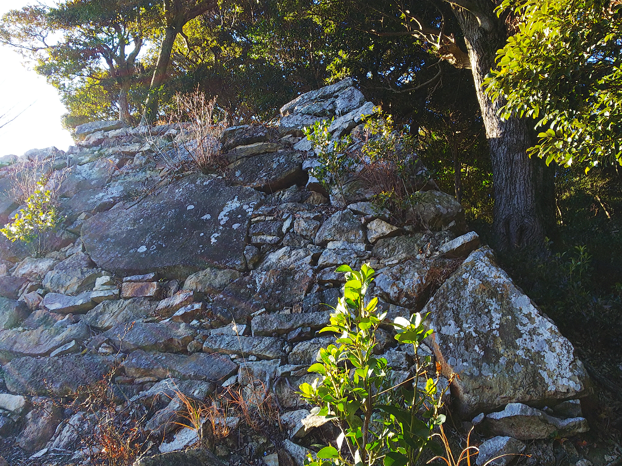 R̊ۂ̐Ί_ɂ́ADLnsŌ܂B