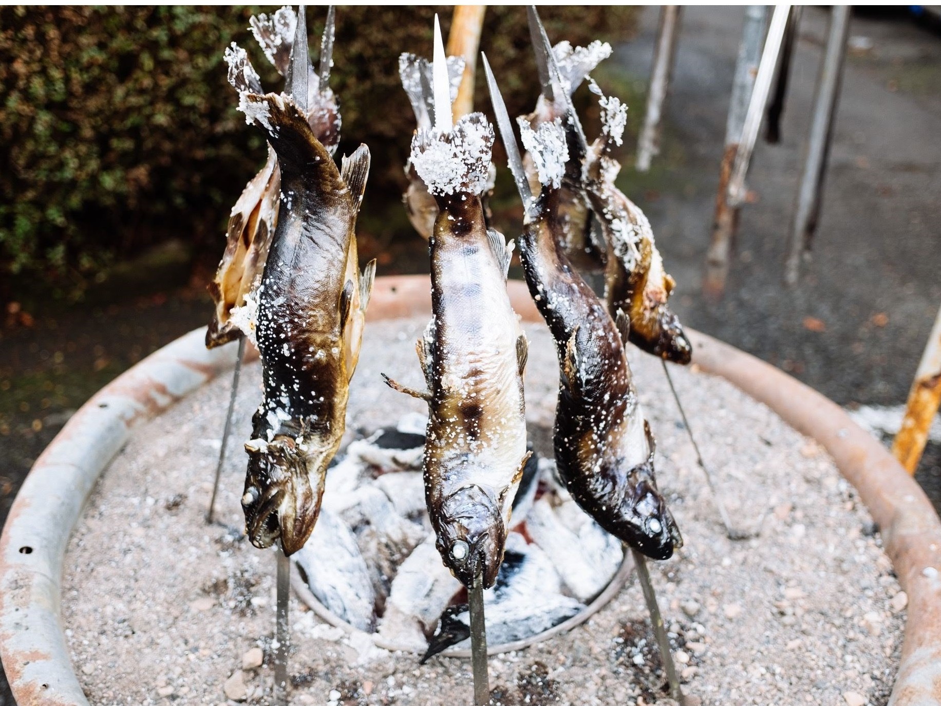 ނ́ȀŐHׂĂƉ\łBŒނiʂ̖܂B