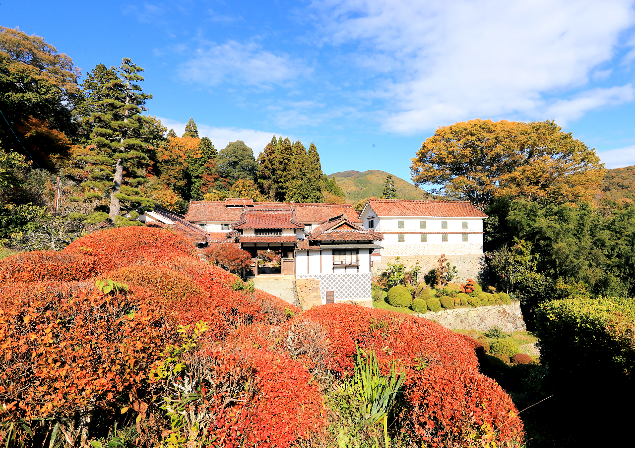 2022/11/05Be@ΏBUPgt̐]ƏZ