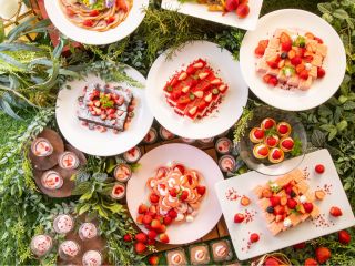 国産いちご食べ放題!season2はさがほのか! ※別の品種が出る場合もございます