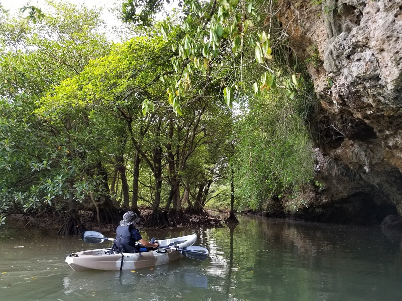 奥に進むと洞窟が・・・。