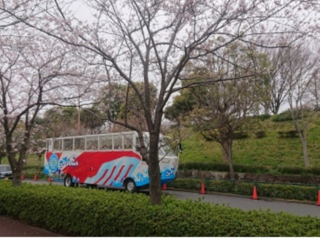 桜 期間限定 水陸両用バス スカイダック東京 とうきょうスカイツリーコース 桜 Ver でスプラッシュ体験 2階建てオープンバス スカイバス 水陸両用バス スカイダック じゃらん遊び体験 桜 期間限定 水陸両用バス スカイダック東京 とうきょうスカイツリーコース 桜 Ver でスプラッシュ体験 2階建てオープンバス スカイバス 水陸両用バス スカイダック じゃらん遊び体験