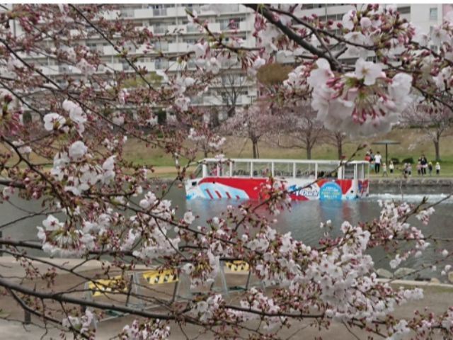 桜 期間限定 水陸両用バス スカイダック東京 とうきょうスカイツリーコース 桜 Ver でスプラッシュ体験 2階建てオープンバス スカイバス 水陸両用バス スカイダック じゃらん遊び体験 桜 期間限定 水陸両用バス スカイダック東京 とうきょうスカイツリーコース 桜 Ver でスプラッシュ体験 2階建てオープンバス スカイバス 水陸両用バス スカイダック じゃらん遊び体験