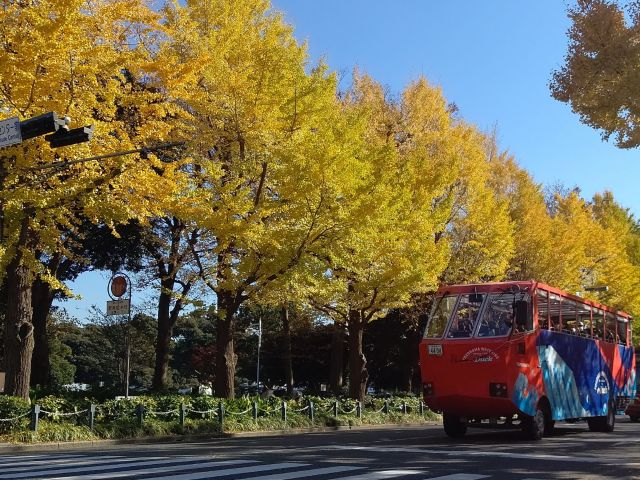 Duck期間限定 横浜 桜木町発 みなとみらいエリア周遊 水陸両用バス スカイダック横浜 みなといちょうコース 秋季限定プラン でスプラッシュ体験 ファミリー 女性同士 カップルにおすすめ 2階建てオープンバス スカイバス 水陸両用バス スカイダック Duck期間限定 横浜 桜木町発 みなとみらいエリア周遊 水陸両用バス スカイダック横浜 みなといちょうコース 秋季限定プラン でスプラッシュ体験 ファミリー 女性同士 カップルにおすすめ 2階建てオープンバス スカイバス 水陸両用バス スカイダック
