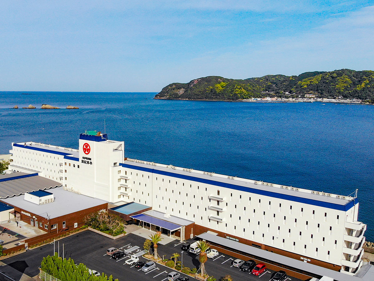 ������́A��I���l�̊O�ςł���