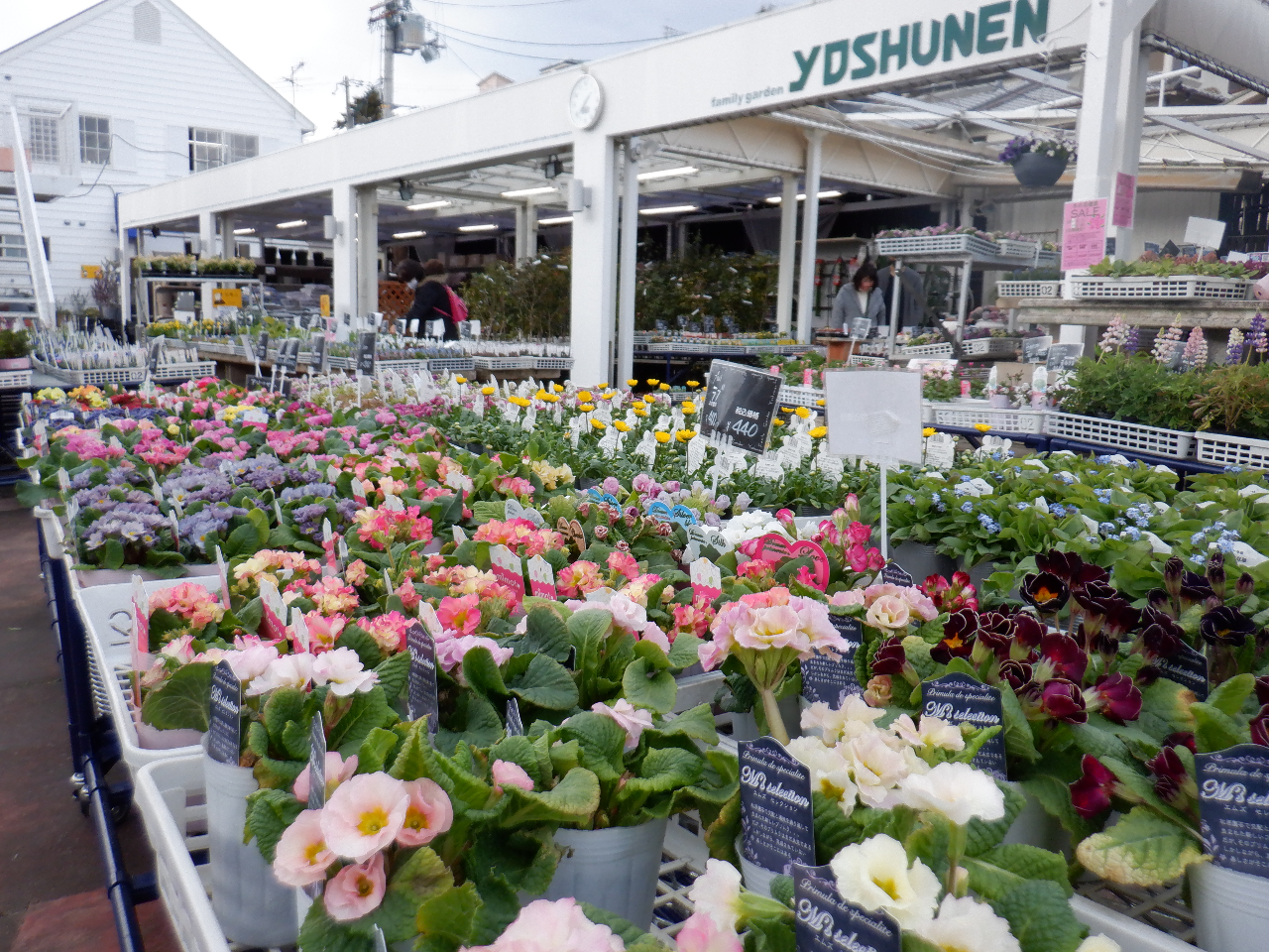 zt̉ԕc̈ꕔłB2,022N2ɎBeB|n߂̂ɕKvȕAʂ肻낢܂B