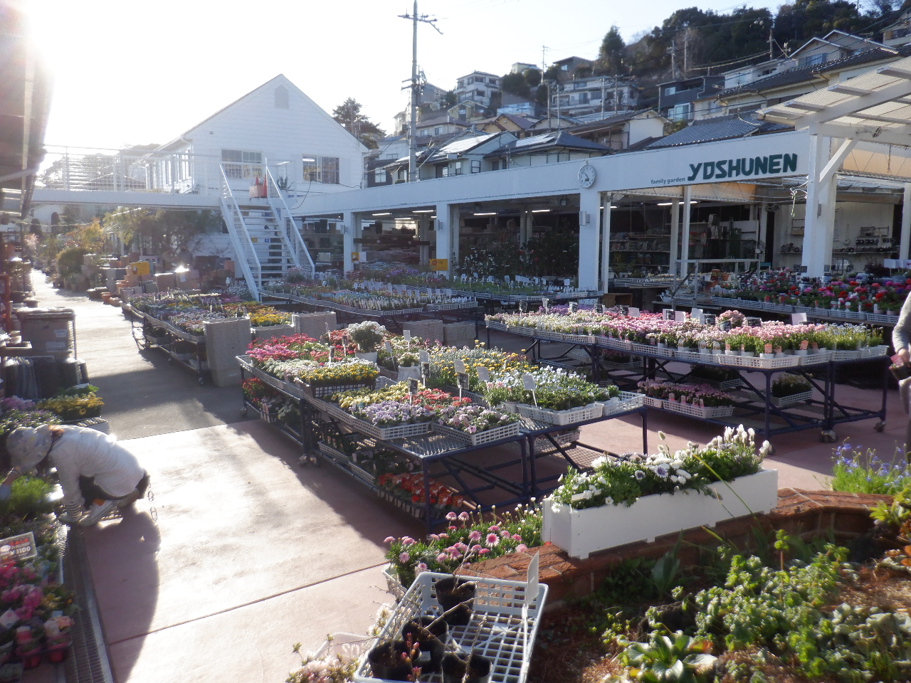 ztẢԕcłBpRWLɂ́A摜̒ʘH^֐iłB