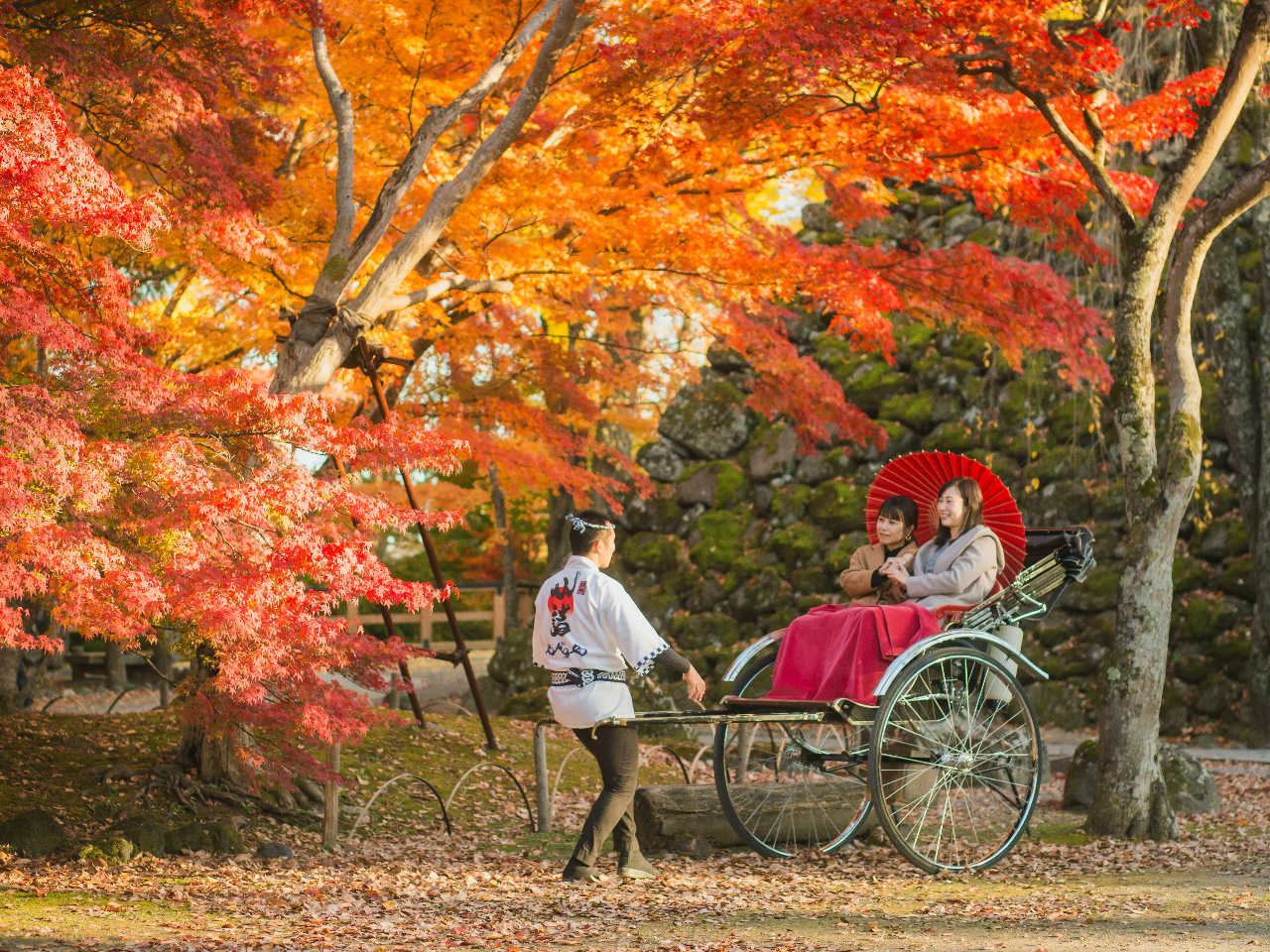 秋の人気スポット『紅葉ヶ丘』