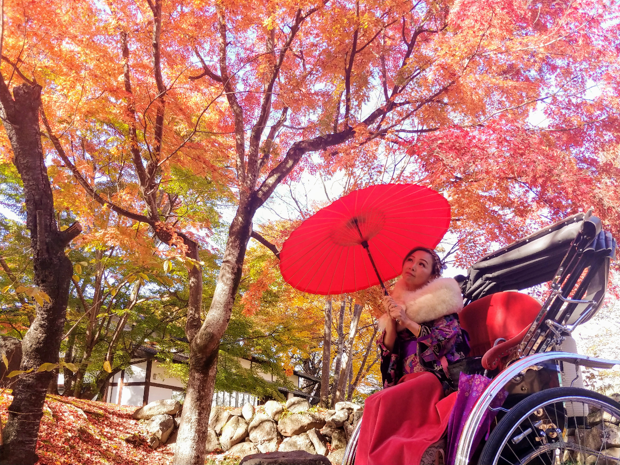 グラデーションが美しい懐古園の紅葉