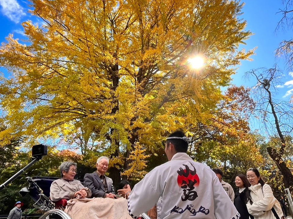 黄金色に輝く大イチョウ