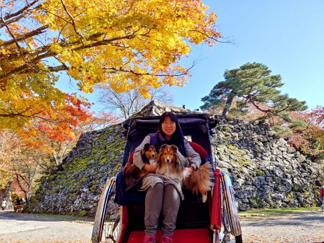 ワンちゃんも一緒にご乗車
