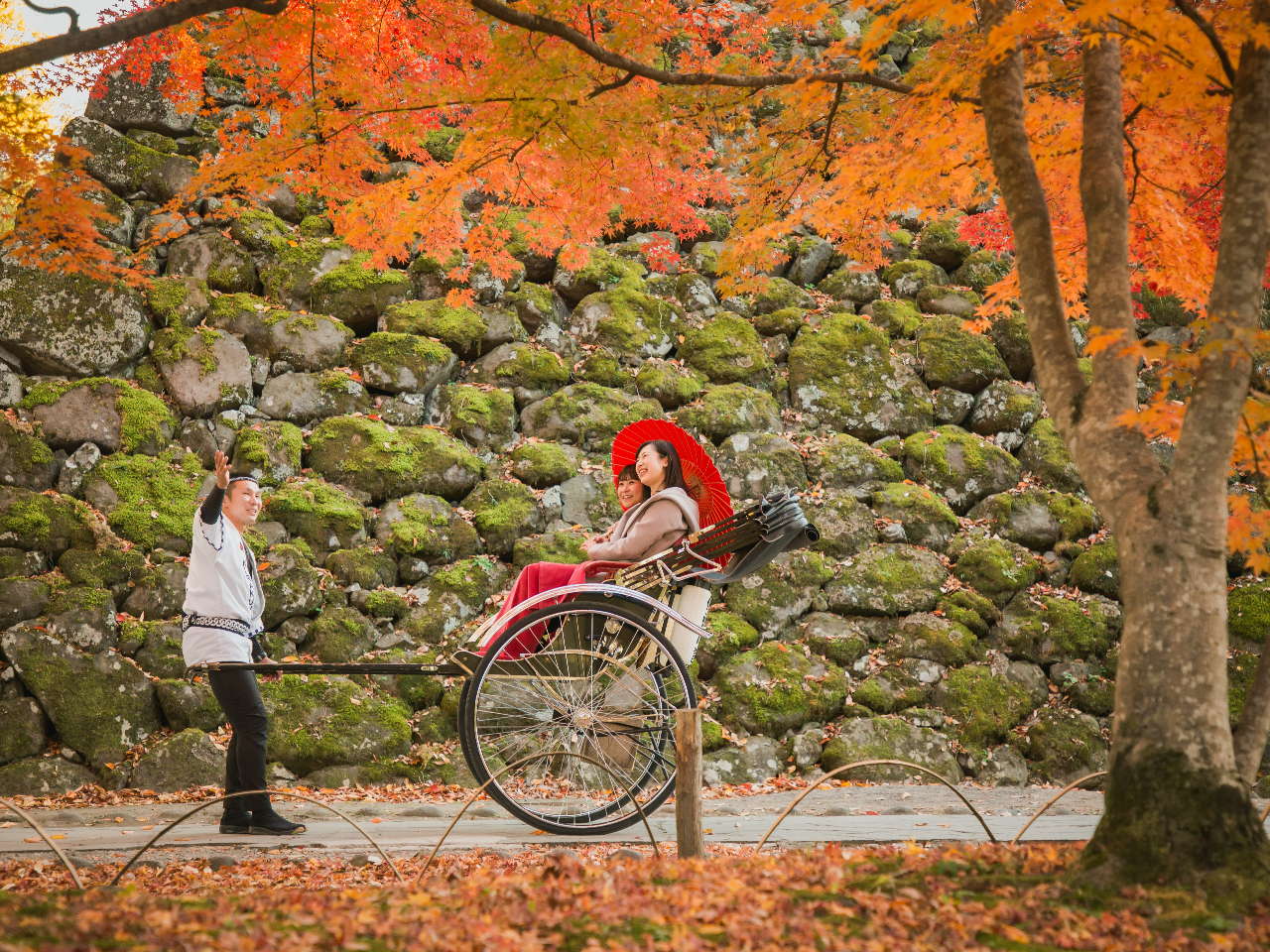 懐古園ならではの苔生す石垣と紅葉のコントラスト