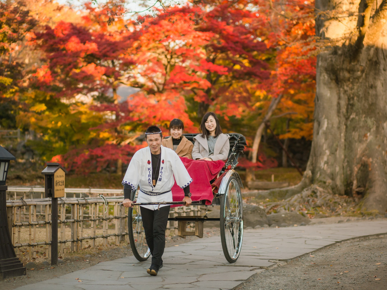 美しい紅葉を眺めながら優雅な人力車時間