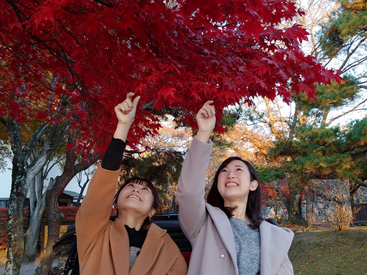 高い座席で思わず葉っぱにタッチ