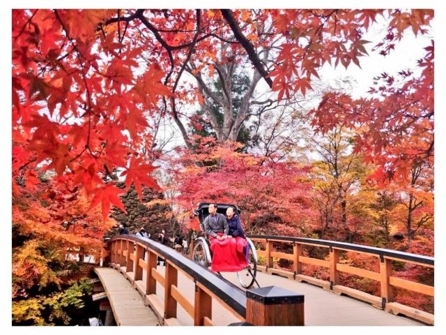 橋の上から紅葉谷を眺める