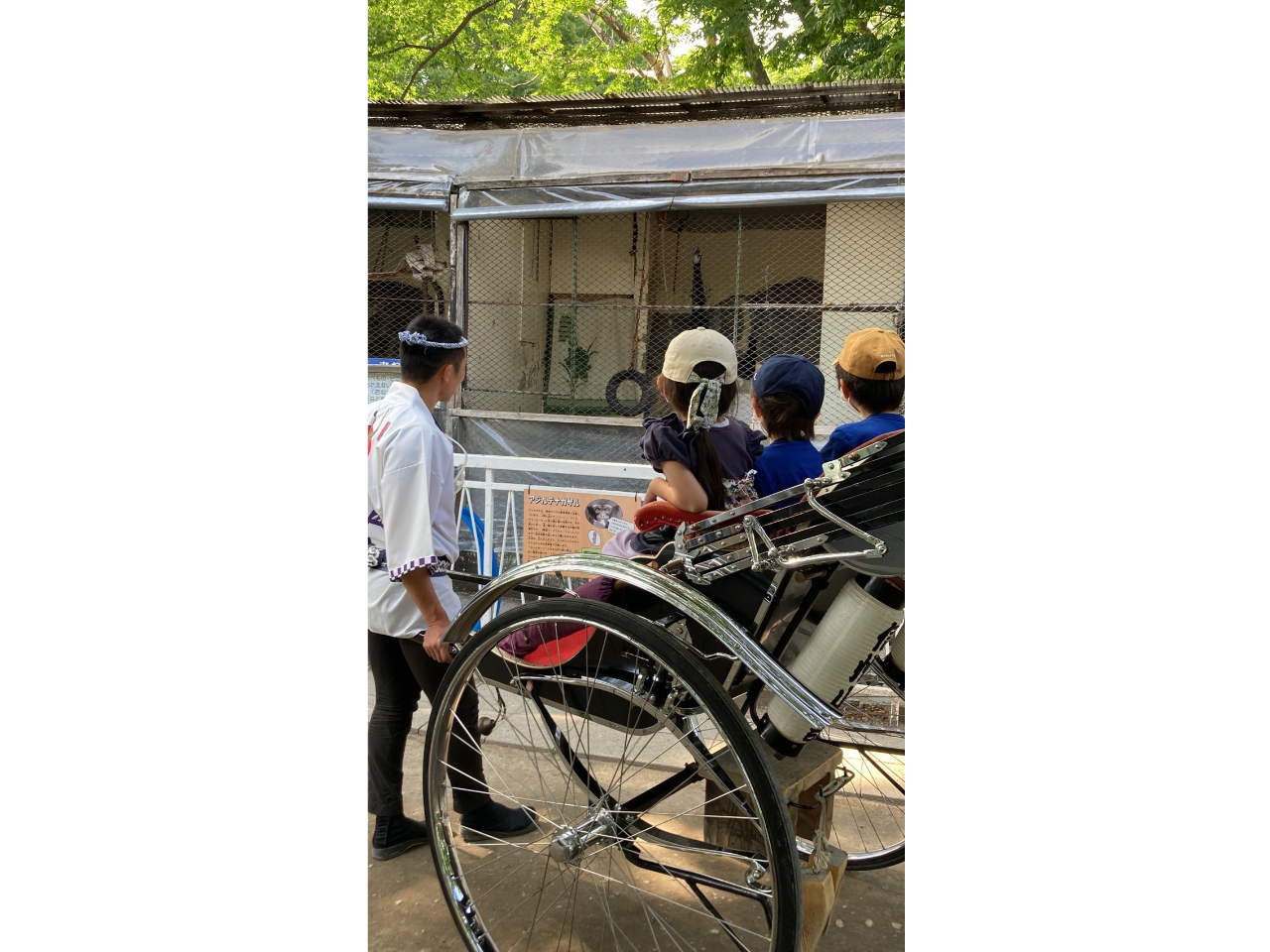 �ԏォ��l�C�҂̃T���E�N�����������߂�q�ǂ�����