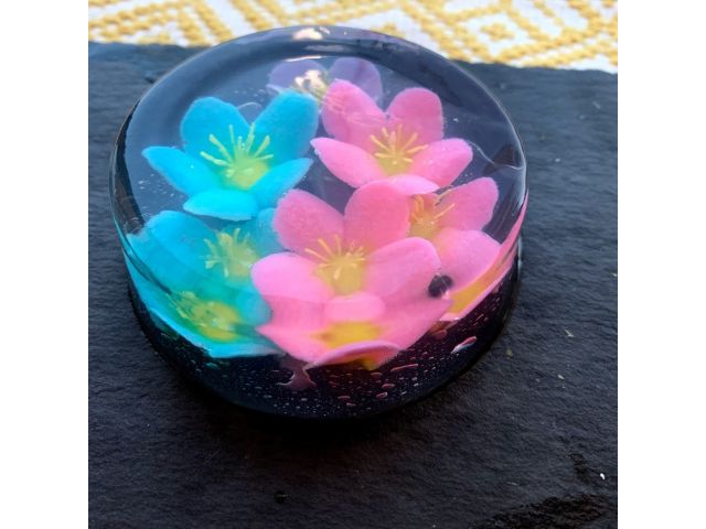 フラワーゼリーケーキ作り体験 初心者大歓迎 女性におススメ 和室で庭を眺めながらゆったりリラックスして体験できます 無料駐車場あり Atsuo Cooking Art Lab じゃらん遊び体験 フラワーゼリーケーキ作り体験 初心者大歓迎 女性におススメ 和室で庭を眺めながらゆったりリラックスして体験できます 無料駐車場あり Atsuo Cooking Art Lab じゃらん遊び体験