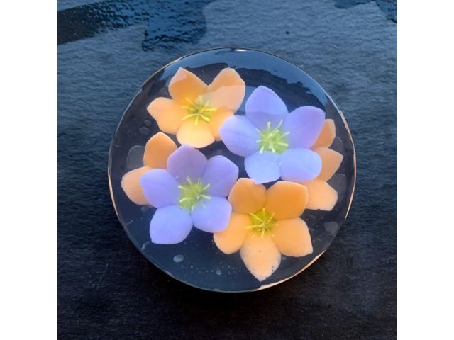 フラワーゼリーケーキ作り体験 初心者大歓迎 女性におススメ 和室で庭を眺めながらゆったりリラックスして体験できます 無料駐車場あり Atsuo Cooking Art Lab じゃらん遊び体験 フラワーゼリーケーキ作り体験 初心者大歓迎 女性におススメ 和室で庭を眺めながらゆったりリラックスして体験できます 無料駐車場あり Atsuo Cooking Art Lab じゃらん遊び体験