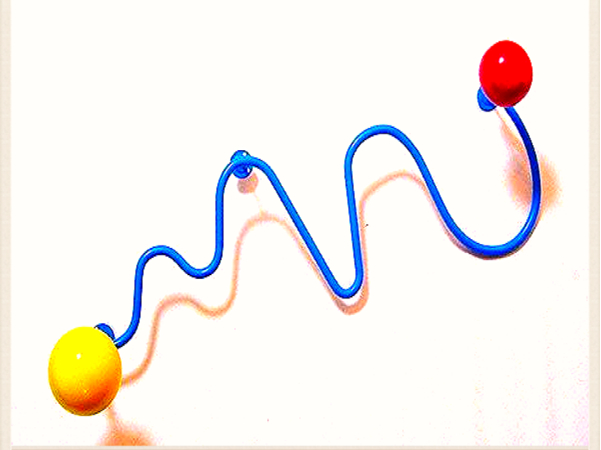 DvF]ˏ䕿Q_ؐ􉽌`̂ɕ`̌pni