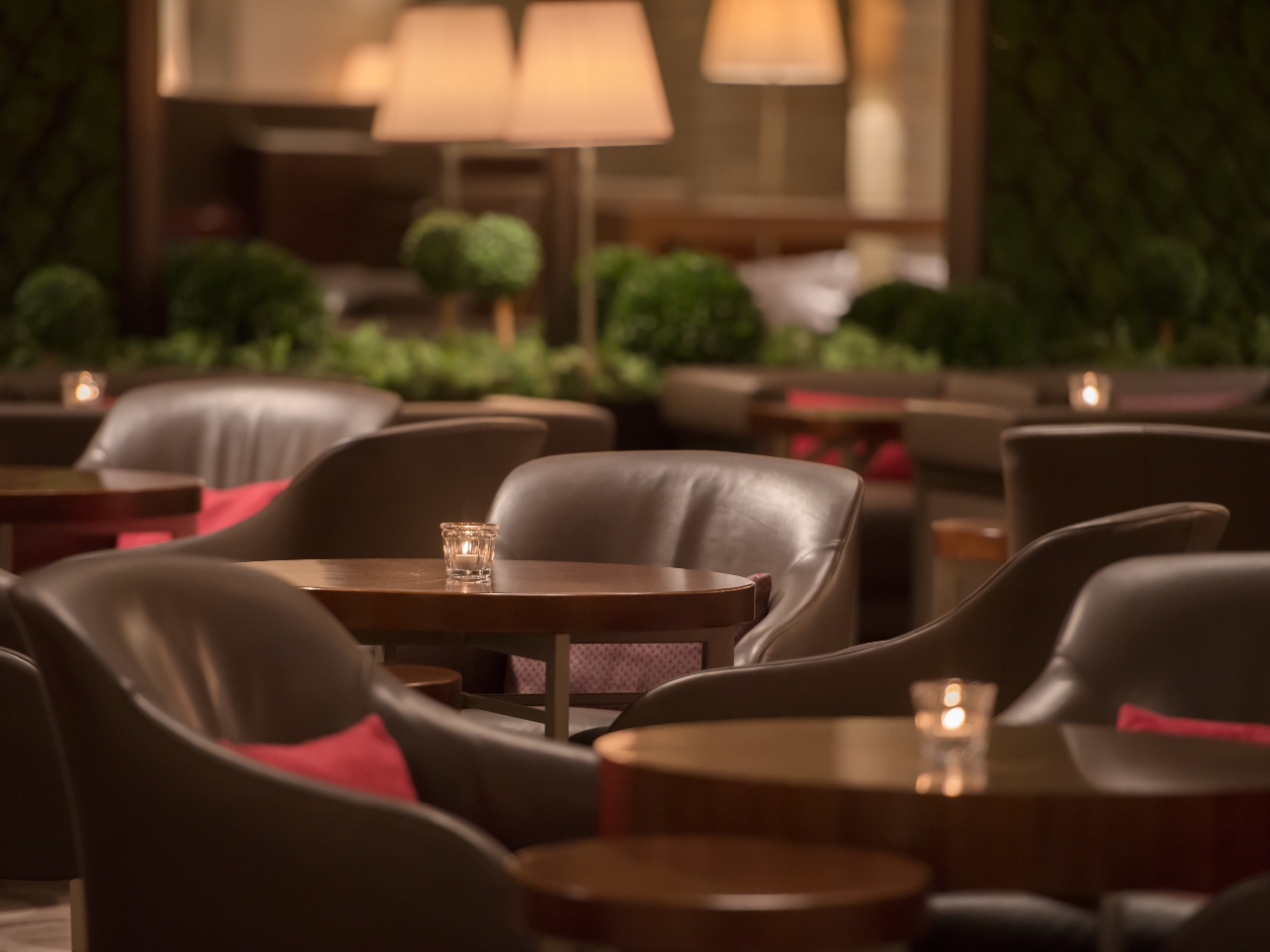 ��͂����Ƃ�Ɨ������������͋C