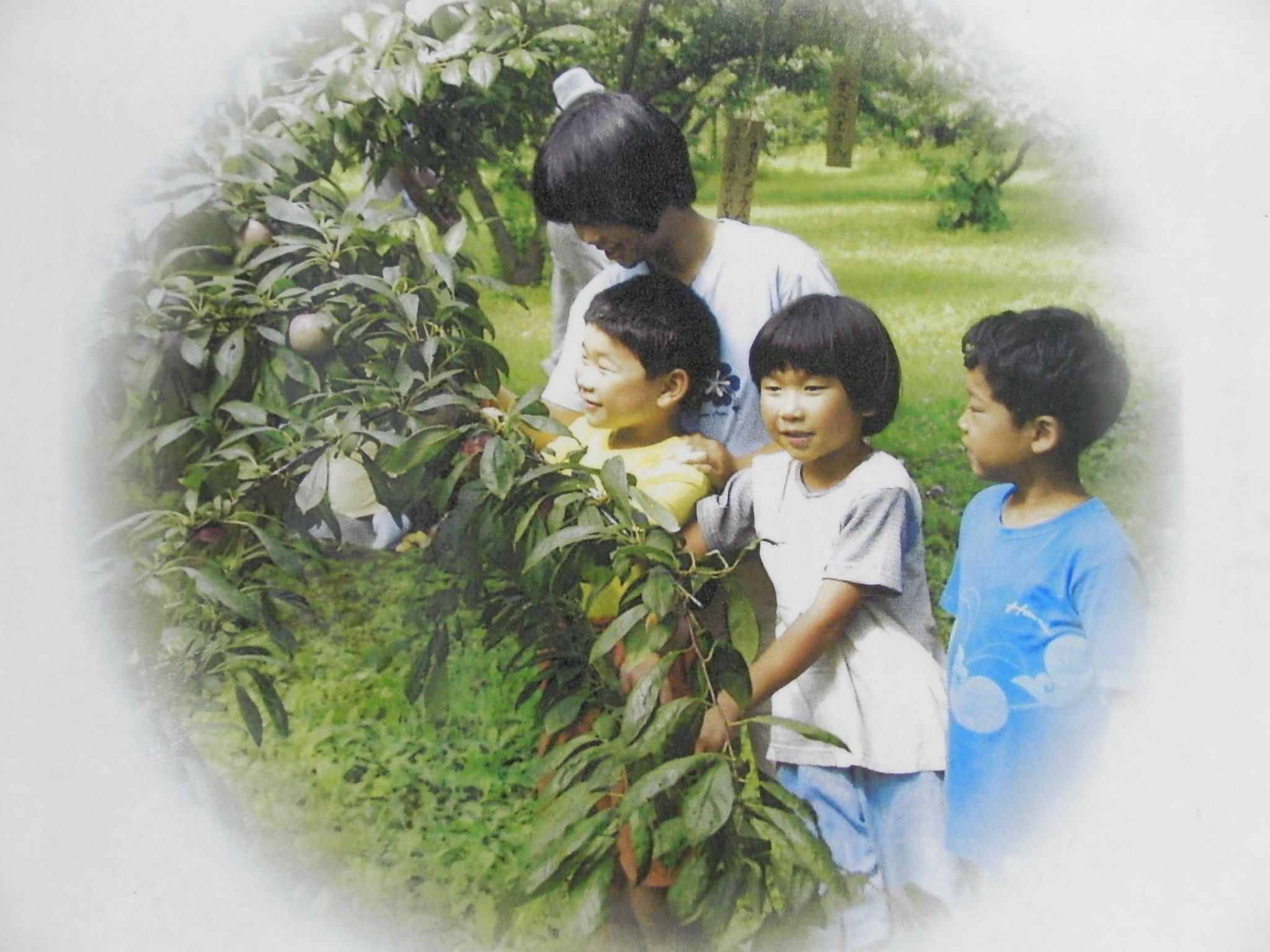 �v�����̍��̎ʐ^4