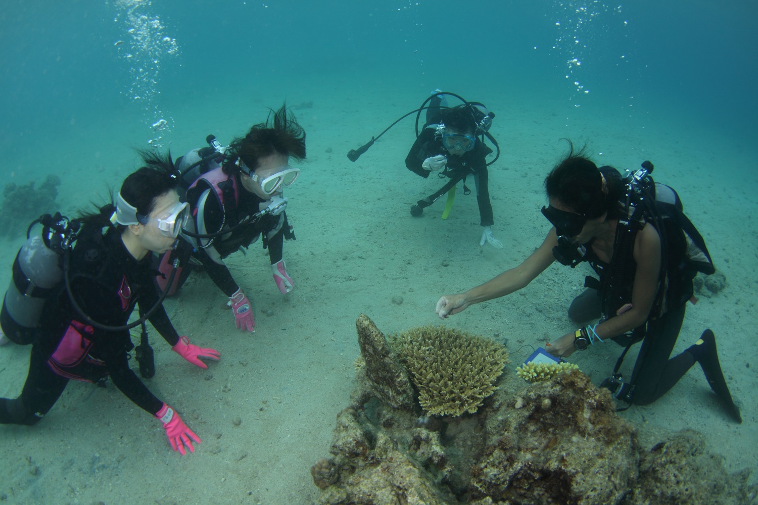 水慣れしたら少しずつ深いところへ移動します。
