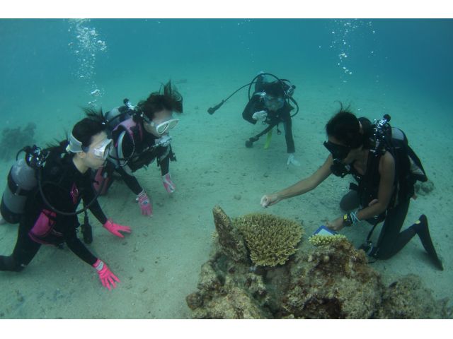 水慣れしたら少しずつ深いところへ移動します。