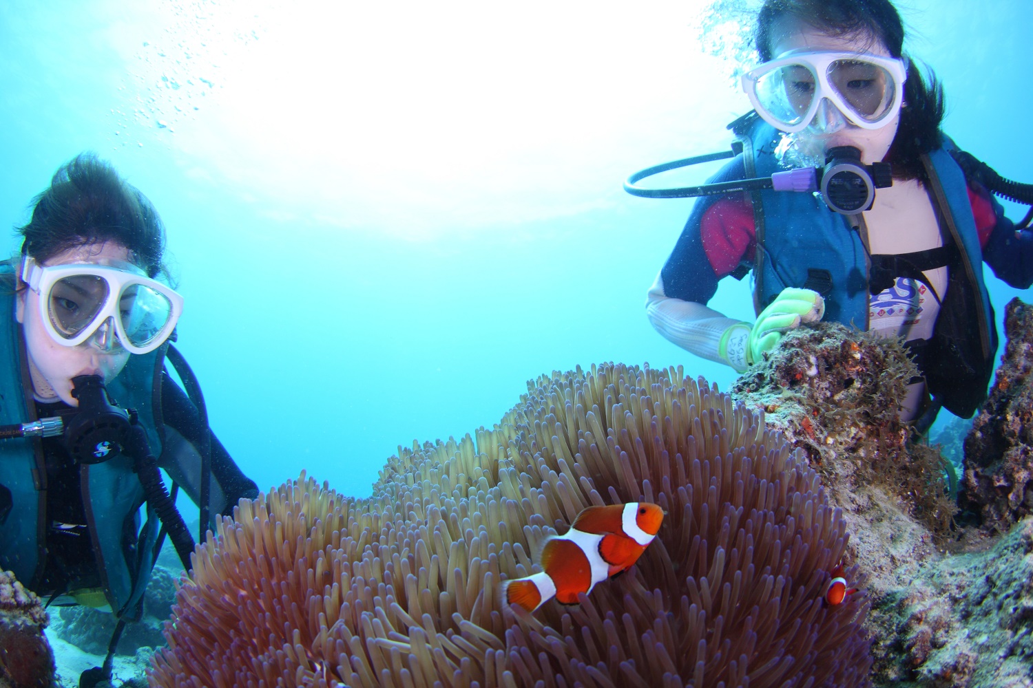 リラックスダイビングサービスの全景