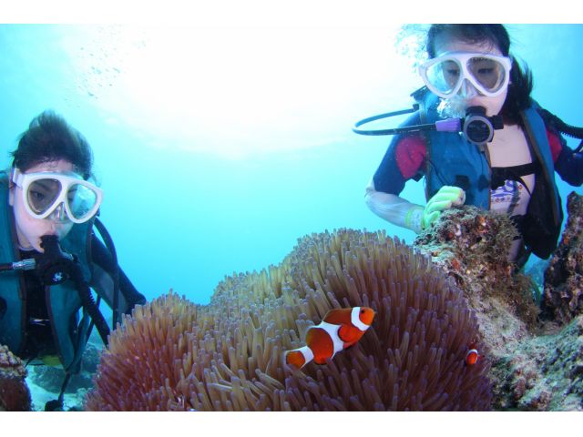 リラックスダイビングサービスの全景