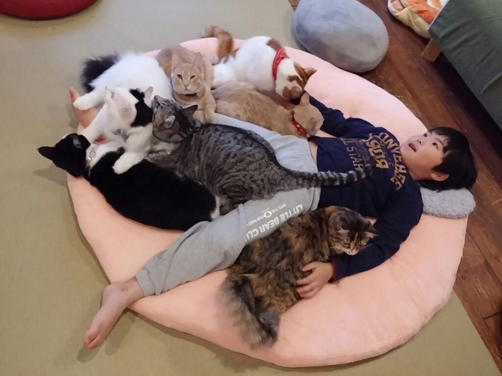 ݂Ȃ݉Ƃɂ񂸂͂ǂꂵĂ̂ŏȂqlł܂łA傫Ȑ傫ȉ͋łBB