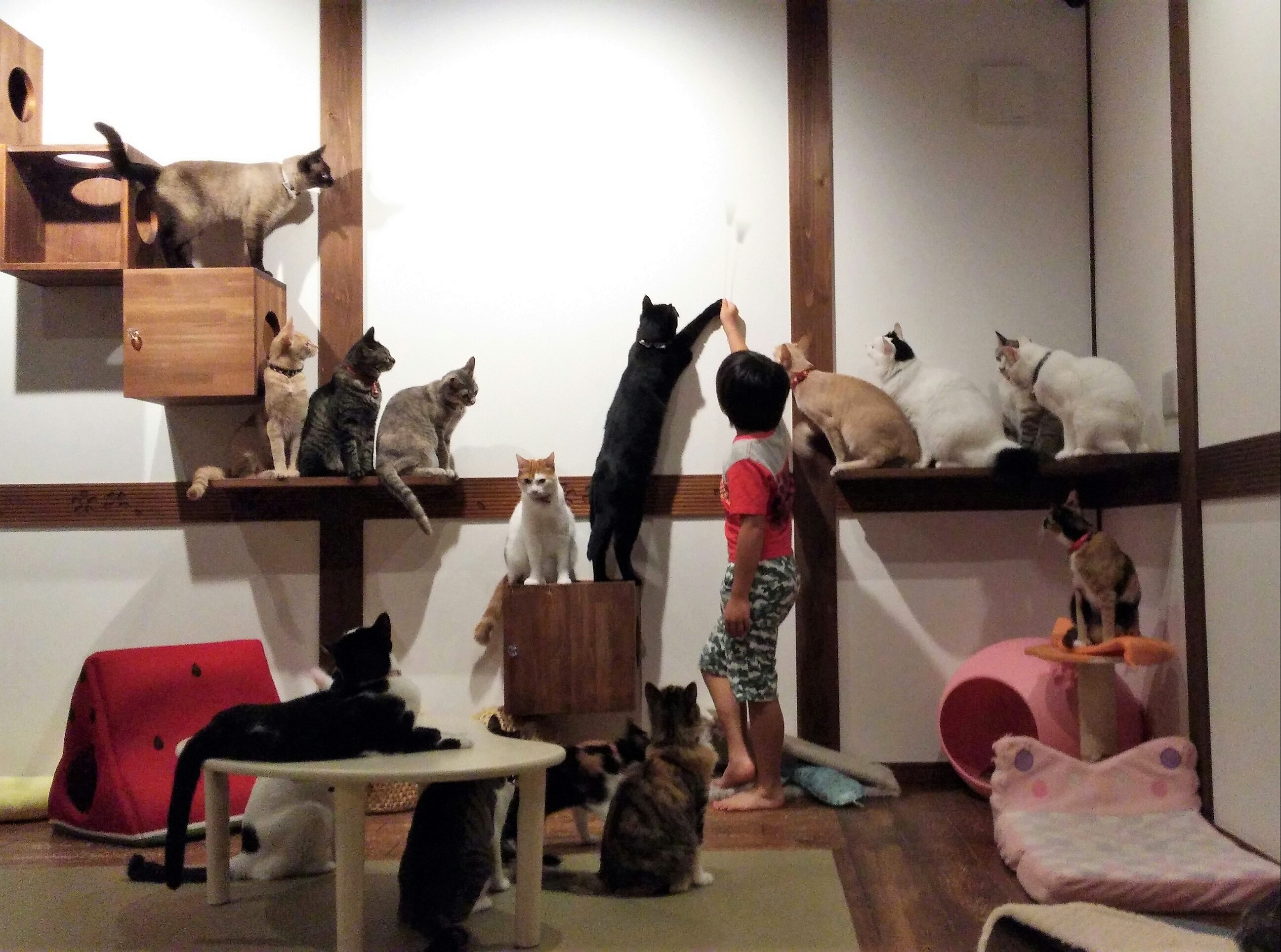 xS[݂̂Ȃ݉Ƃɂ񂸂͂qlMĂ̂ŁA{CňꏏɗVт܂