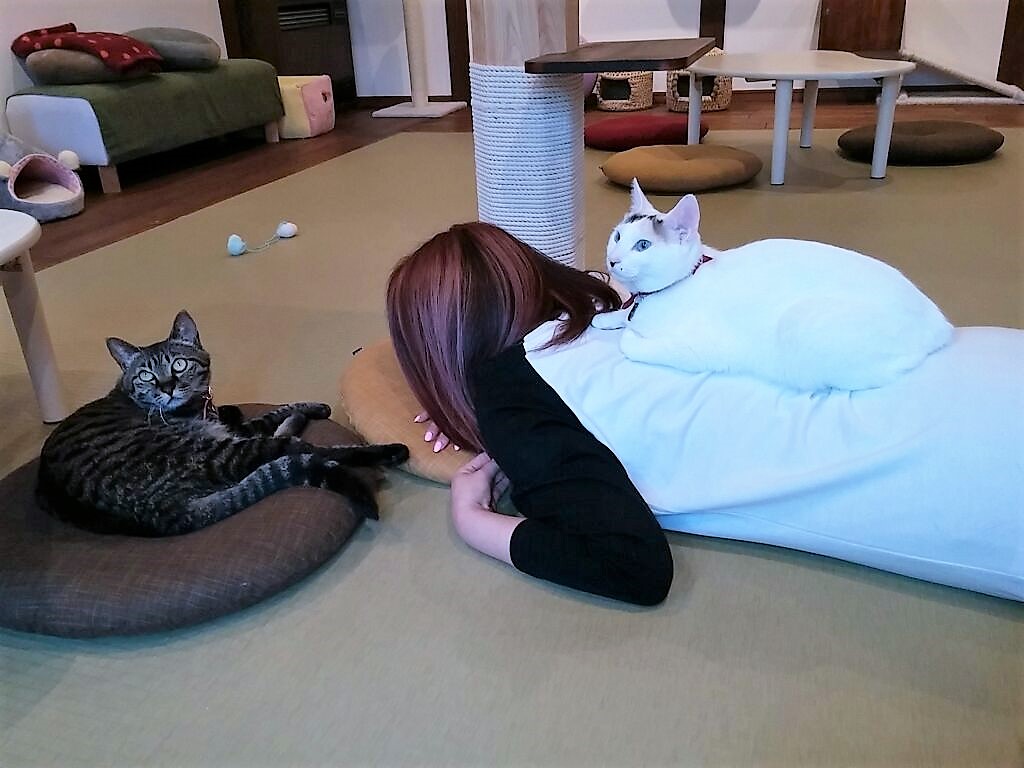 @@@@@@@@@@l̂łql̂Ђwɂ܂I