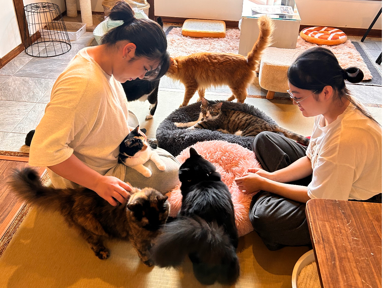 �͂��߂Ă̂��q�l�̂��G�ɂ�����Ă����I�����I�Ƃ̂������������񂢂������Ă��܂��B���s�[�^�[���񑱏o�B1���Ԃ��Ⴢ�m�^���i�C�����B