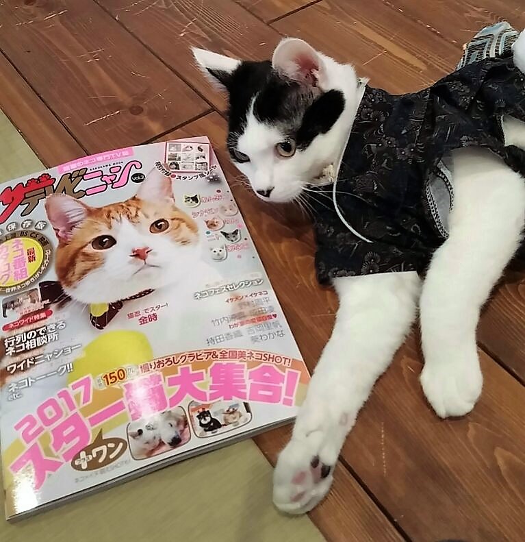 ݂Ȃ݉ƊŔL\uaNv9/27NHKuӂӃttvŏЉ܂IςĂˁ