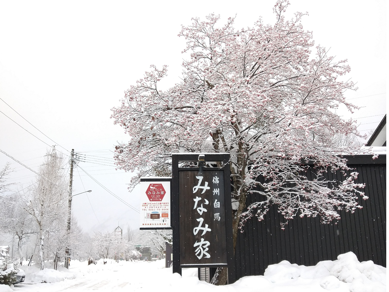 �݂Ȃ݉ƒ��ԏ�ɂ���Ŕ�