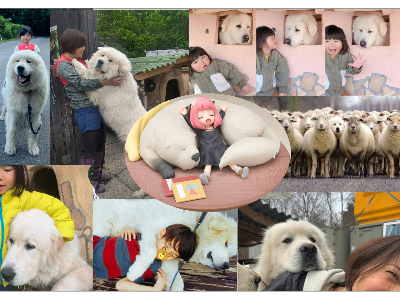 でっかい犬います