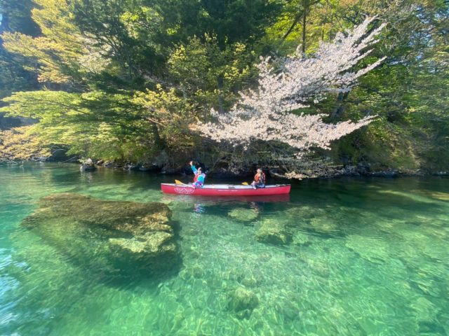 もの凄い透明度!