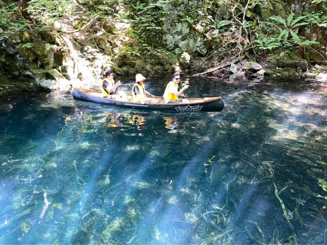 青い! ィト°ムカの入り江