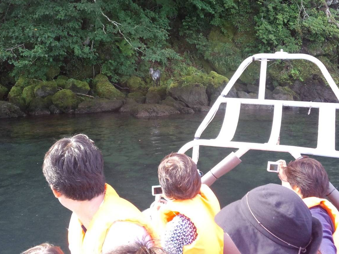 (T)十和田湖最安!【 パワースポットクルーズ 】別名:龍神ツアー!御室に上陸ご...