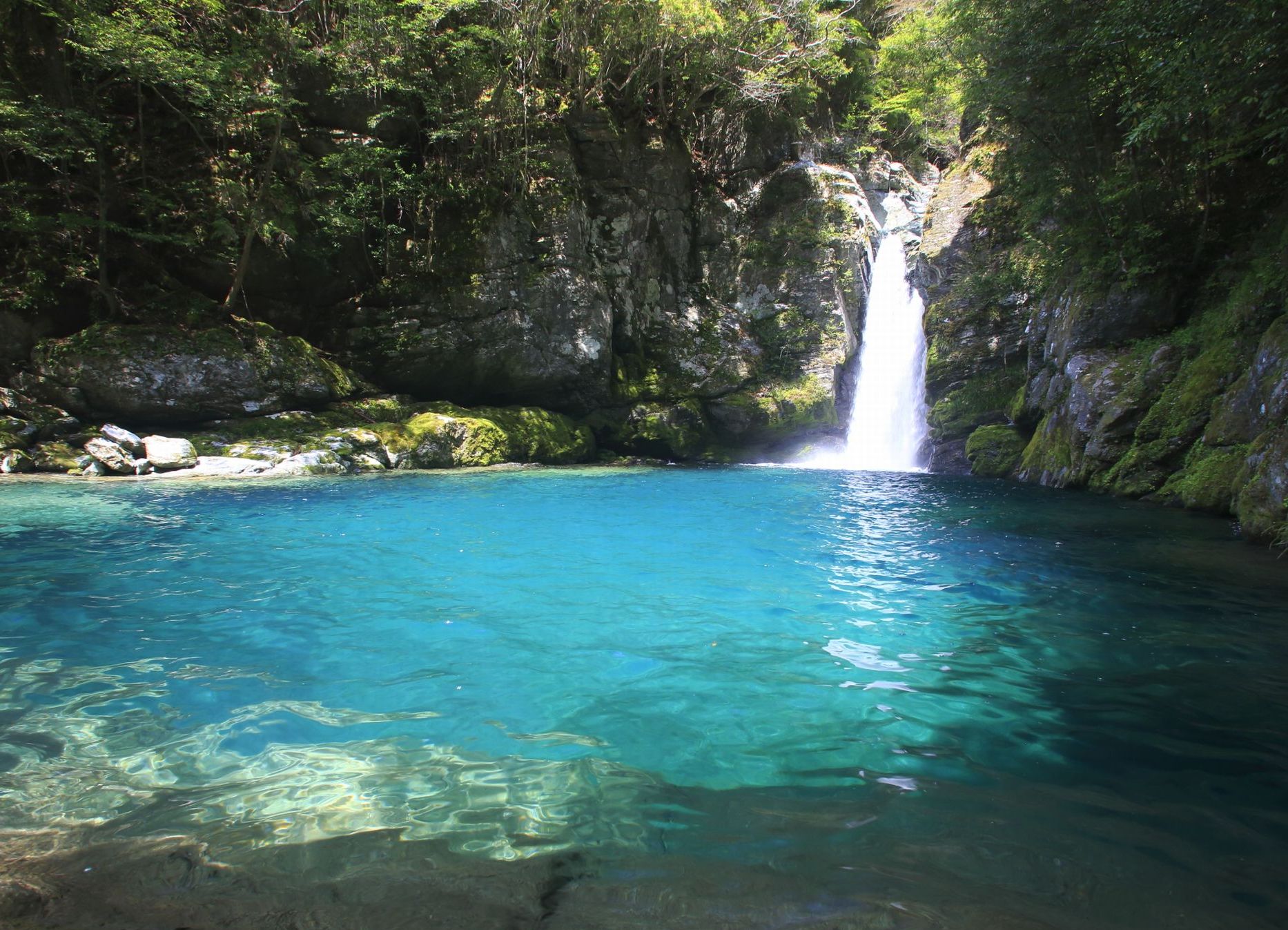 神秘的な青い滝つぼ『にこ淵』[当社乗務員撮影】